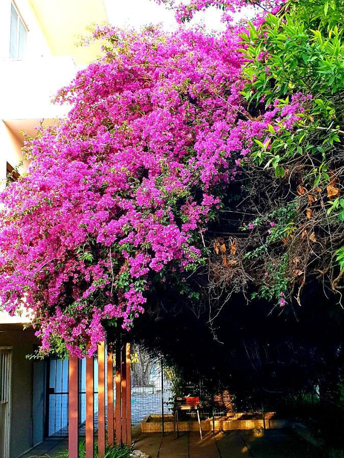 Quiet House Garden Naples-Pompei-Sorrento Villa Trecase Exterior photo